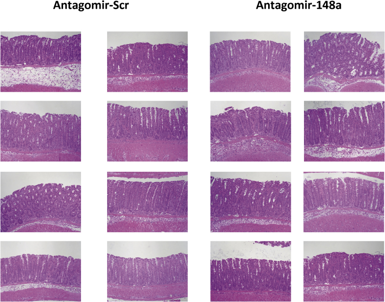 Supplemental Fig. 2