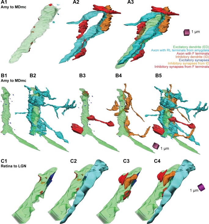 Fig 13