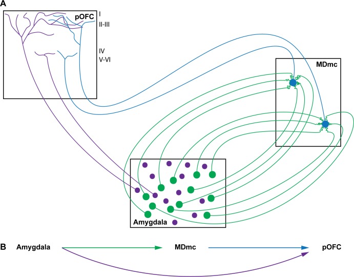 Fig 15