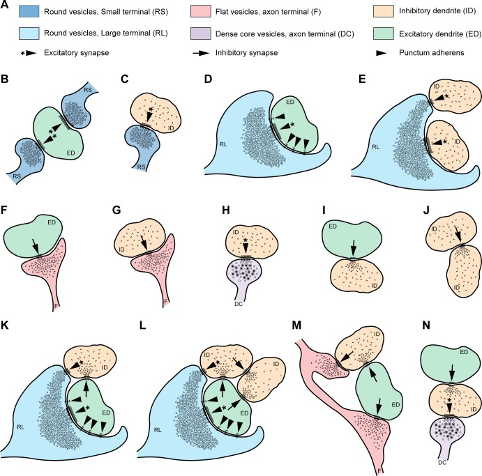 Fig 10