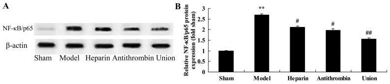 Figure 7.