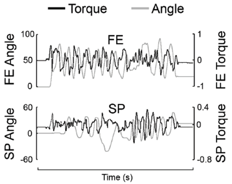 Fig. 10.