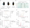 Figure 4.