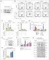 Figure 2.