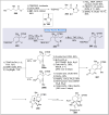 Scheme 28