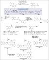 Scheme 19