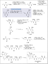 Scheme 6