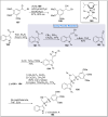 Scheme 18