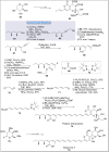 Scheme 7
