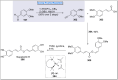 Scheme 30