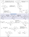 Scheme 12