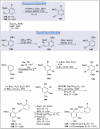 Scheme 13