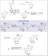 Scheme 4