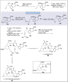 Scheme 10