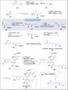 Scheme 9