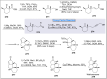 Scheme 27