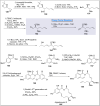 Scheme 14