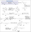 Scheme 32