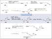 Scheme 25