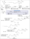 Scheme 22