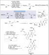 Scheme 31