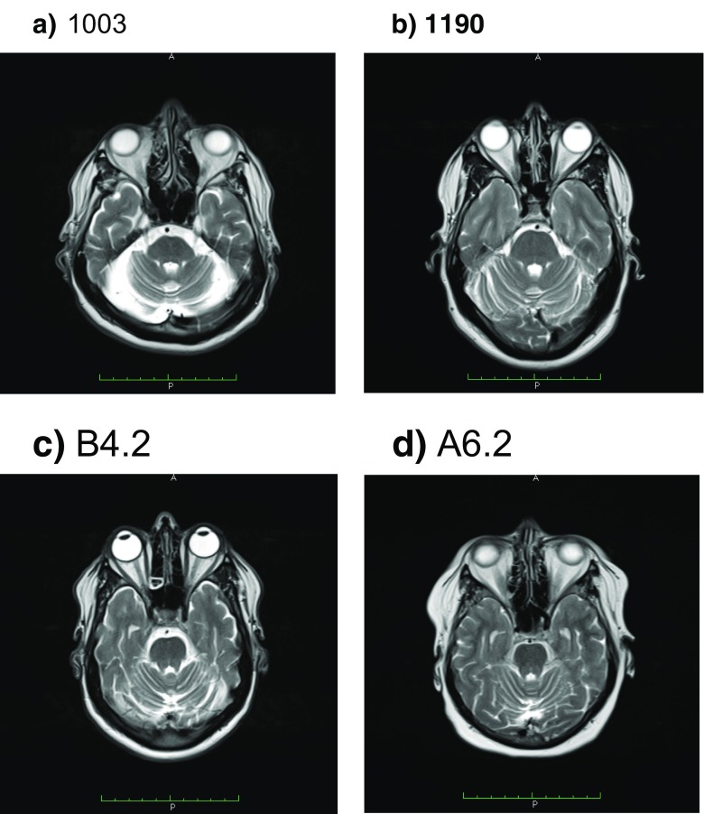 Fig. 5