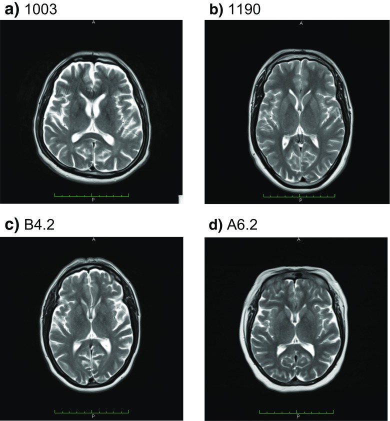 Fig. 6