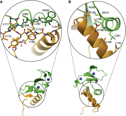 Figure 2