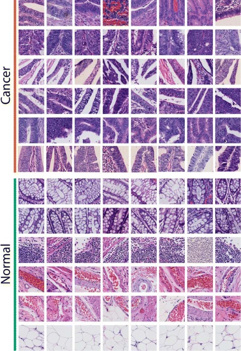 Fig. 7