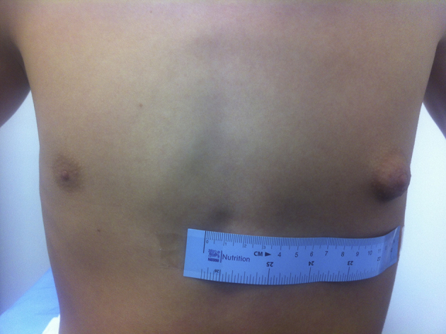 Figure 1