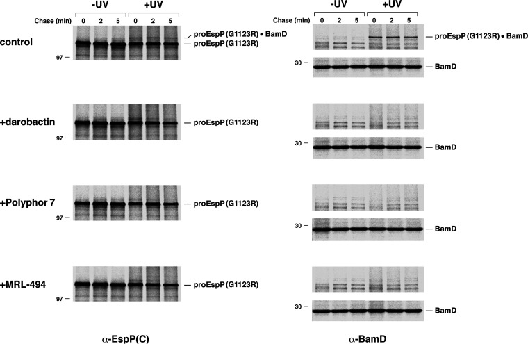 FIG 3