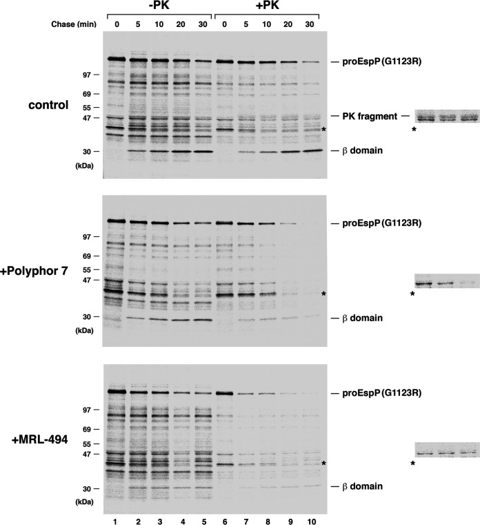 FIG 6