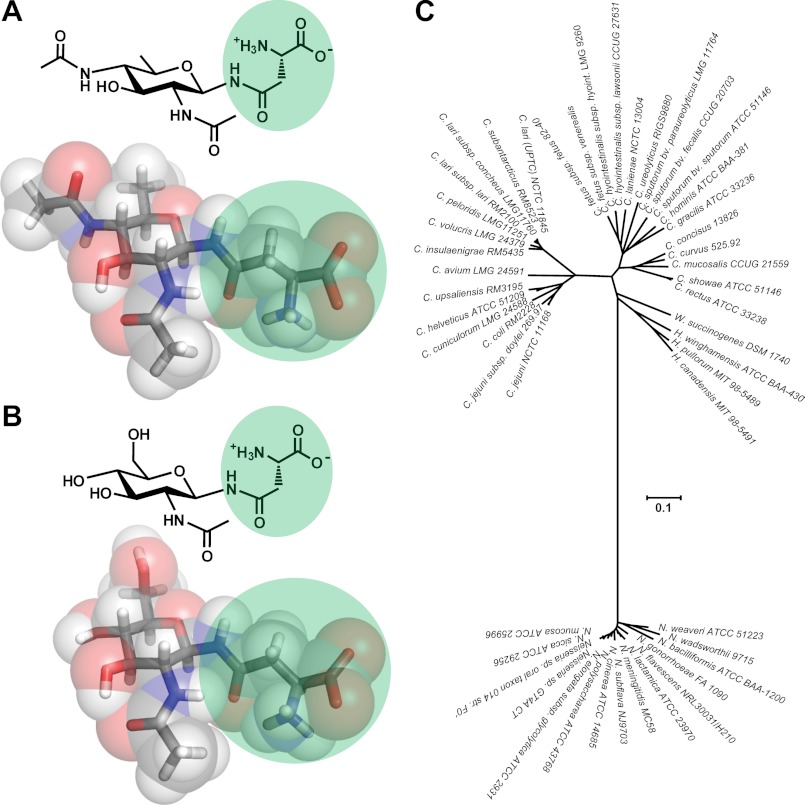 FIGURE 3.