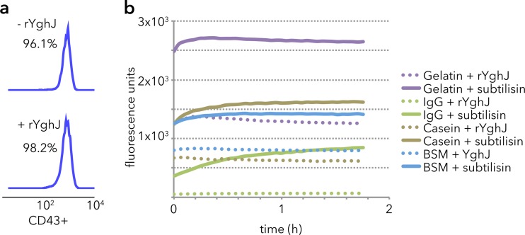 FIG 5