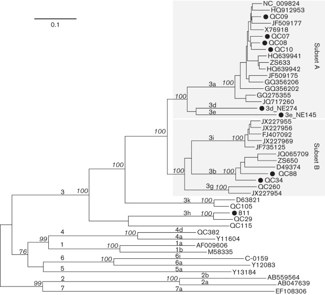 Fig. 2. 