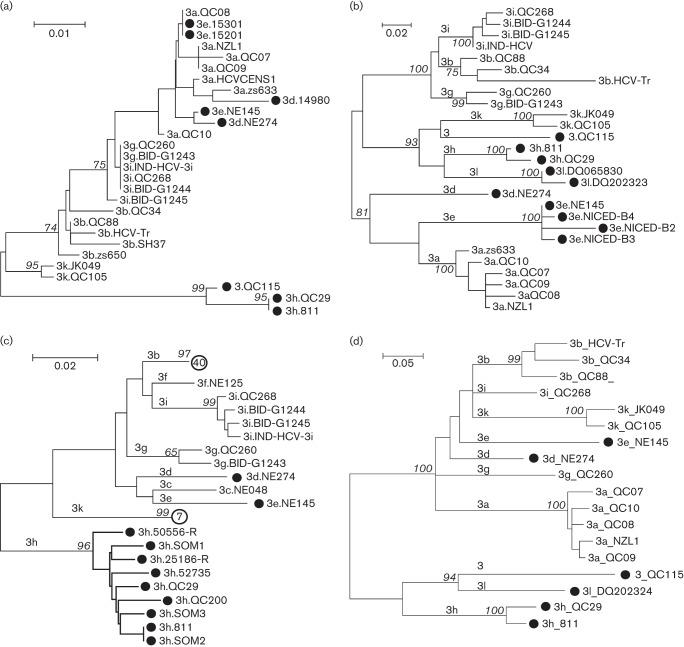 Fig. 3. 