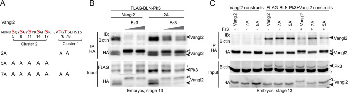 Fig. 6.