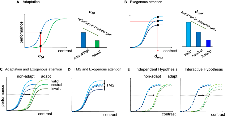 Figure 1