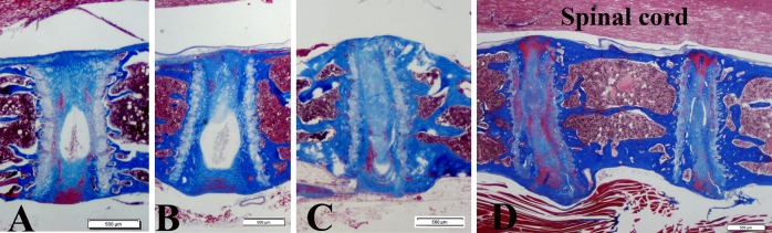 Fig. 2A–D