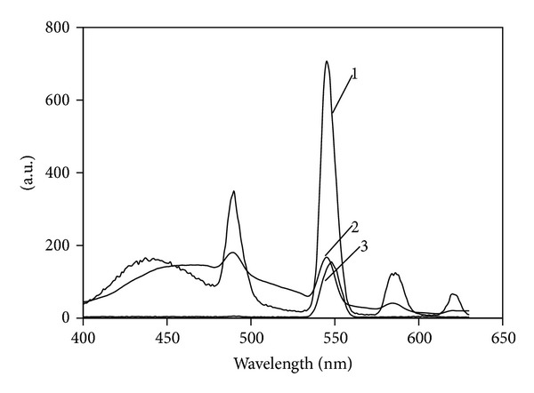 Figure 5