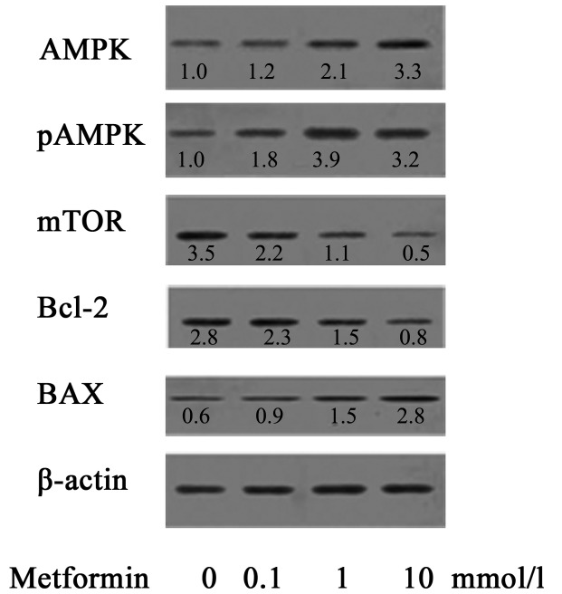 Figure 7.