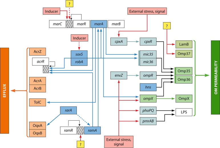 FIG 1