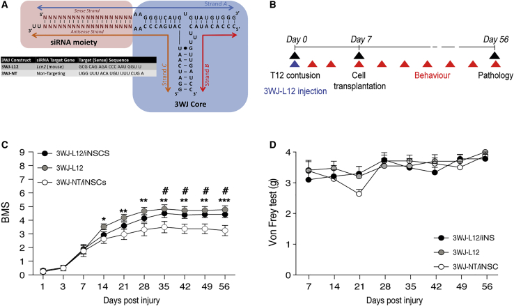 Figure 4