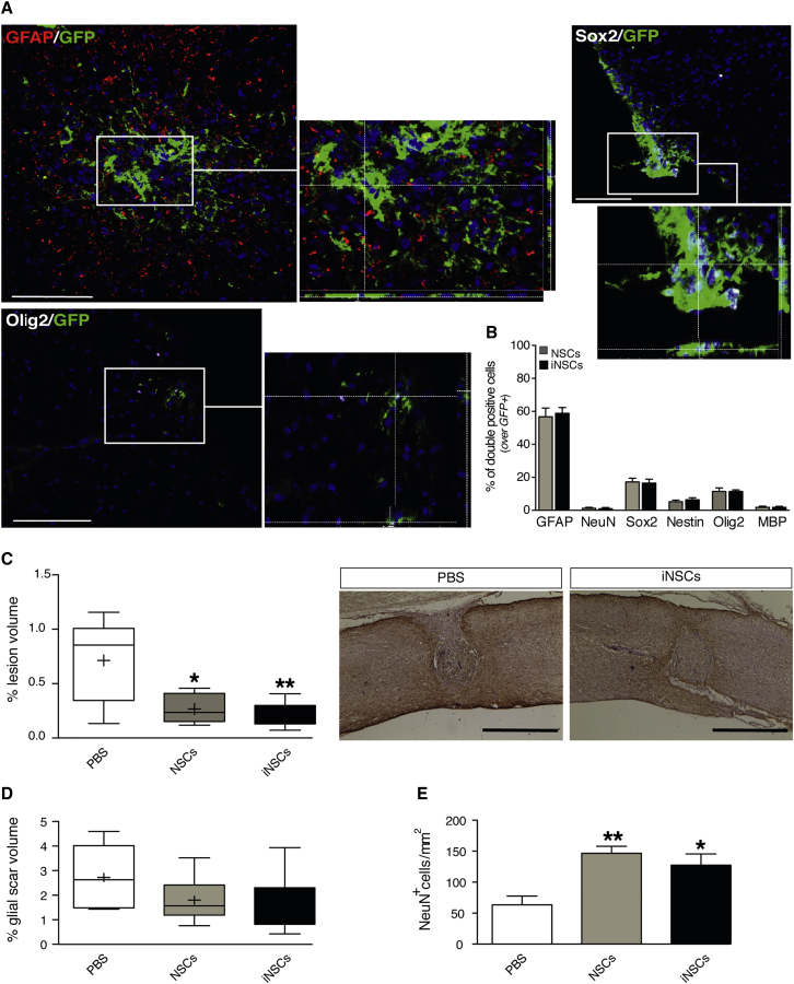 Figure 2