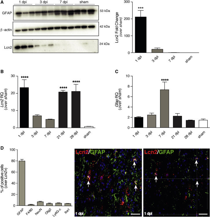 Figure 3