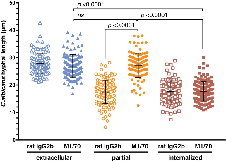 Figure 10—figure supplement 2.