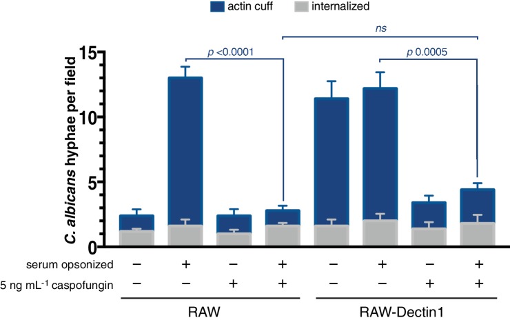 Figure 4—figure supplement 1.