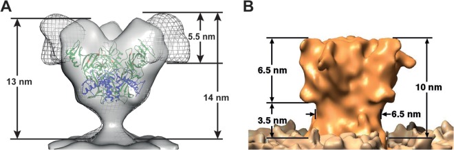 FIG 3