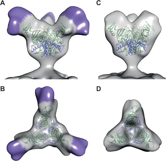 FIG 2