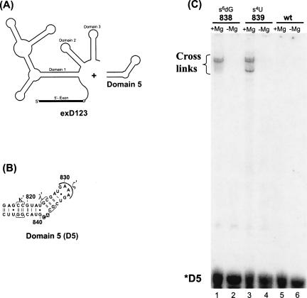 FIGURE 5.